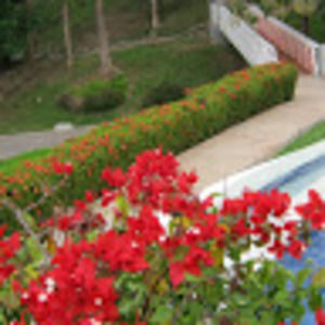 Meet your Posher, Ivette